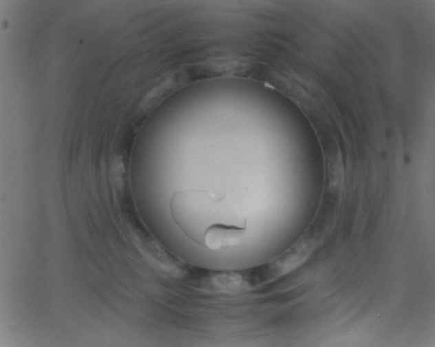 X0000067930279200604272016