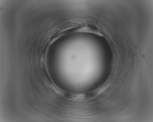X0000067930288200604272017