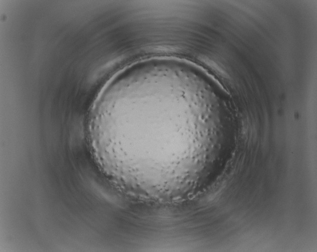 X0000067930302200604272016