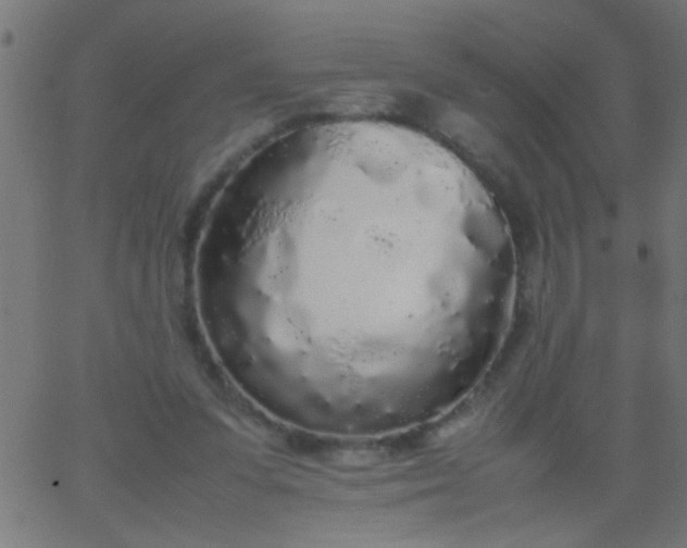 X0000067930303200604272016