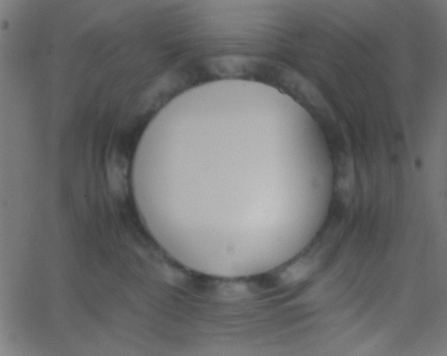 X0000067930332200604272015
