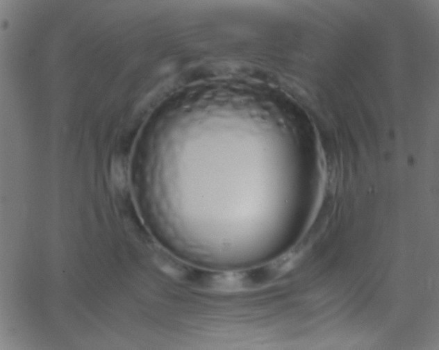 X0000067930335200604272015