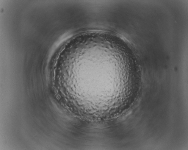 X0000067930343200604272014