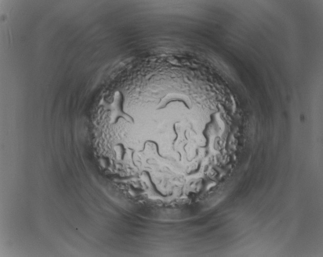 X0000067930361200604272015