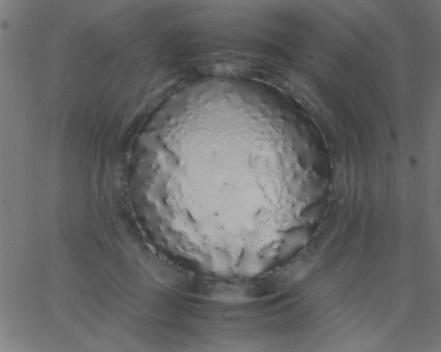 X0000067930363200604272015