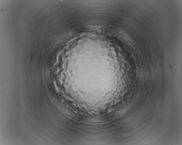 X0000067930365200604272015