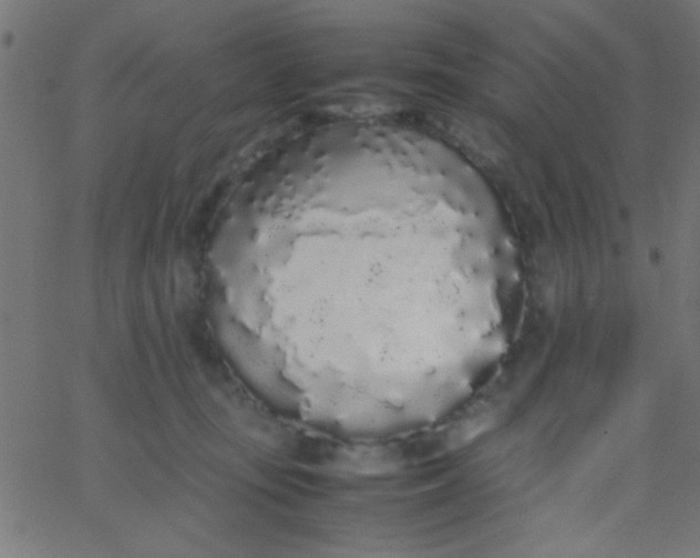 X0000067930371200604272015