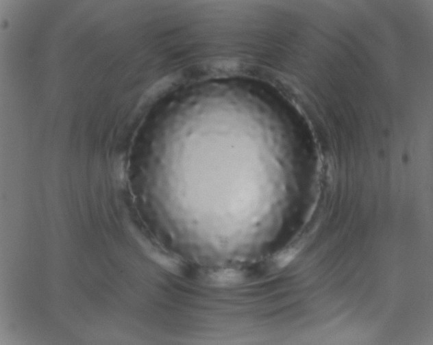X0000067930383200604272015