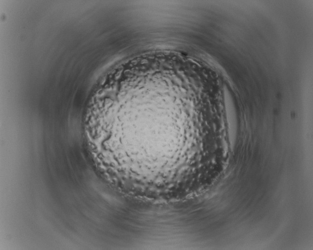 X0000067930386200604272014
