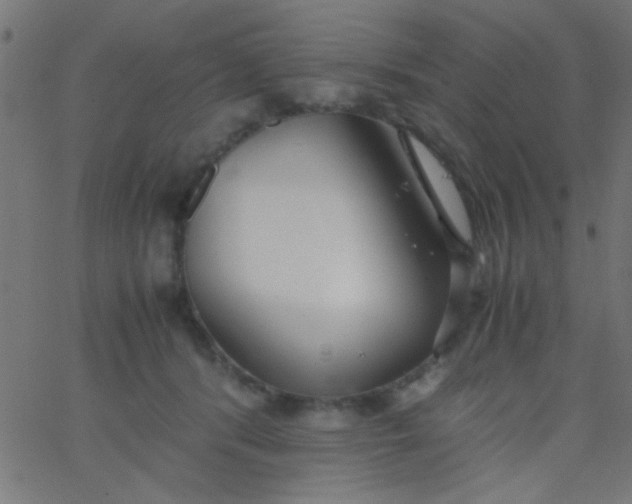 X0000067930416200604272014