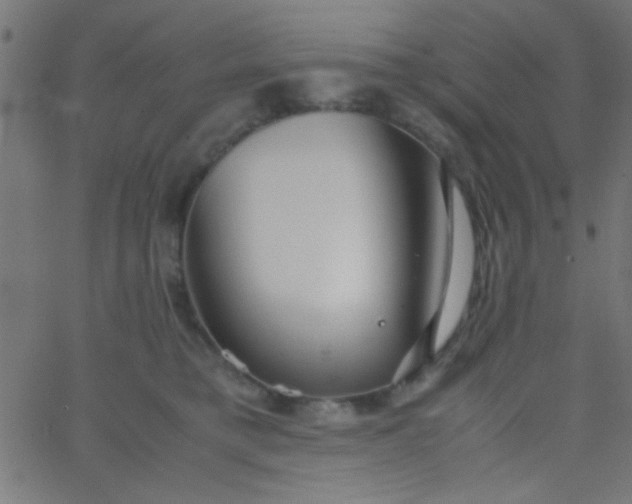 X0000067930421200604272014