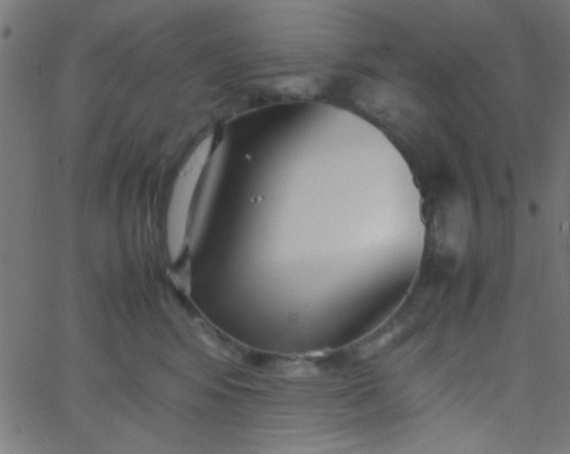 X0000067930424200604272014