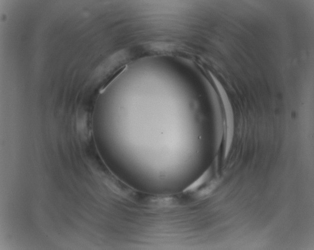 X0000067930428200604272013