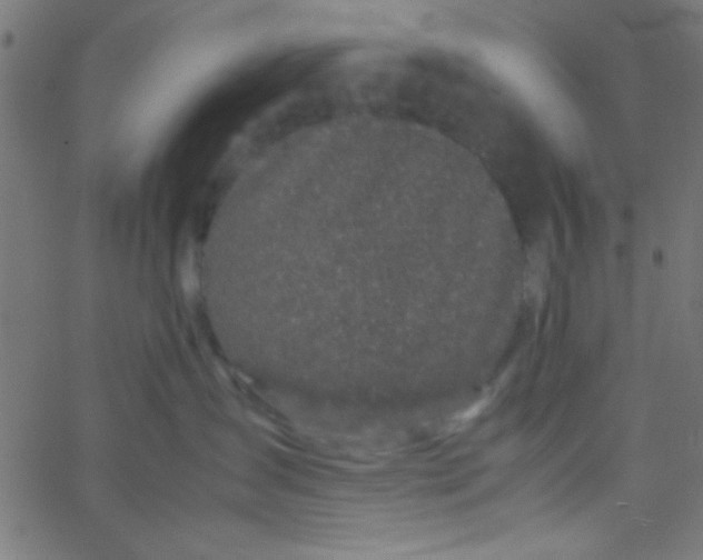 X0000067930431200604272013
