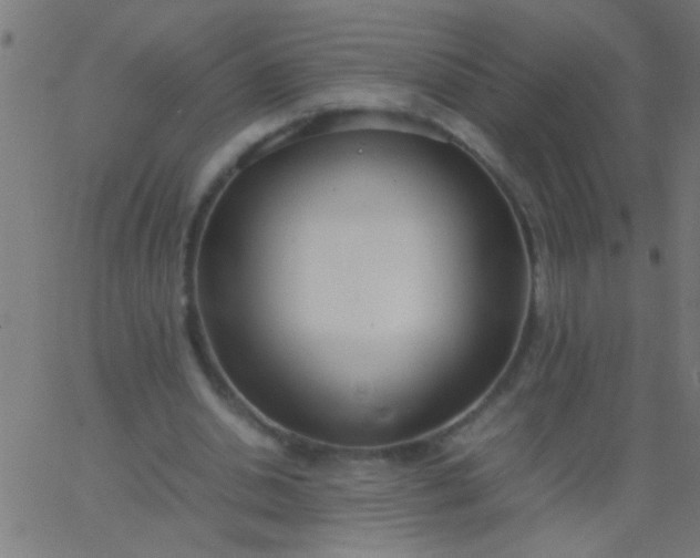 X0000067930438200604272013