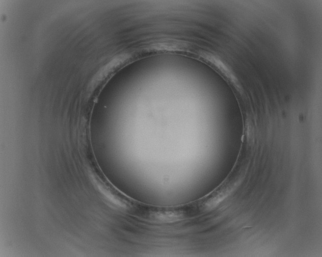 X0000067930445200604272013