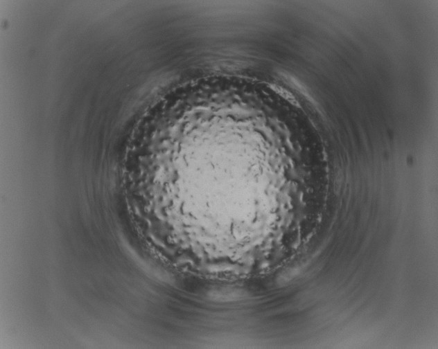 X0000067930451200604272013