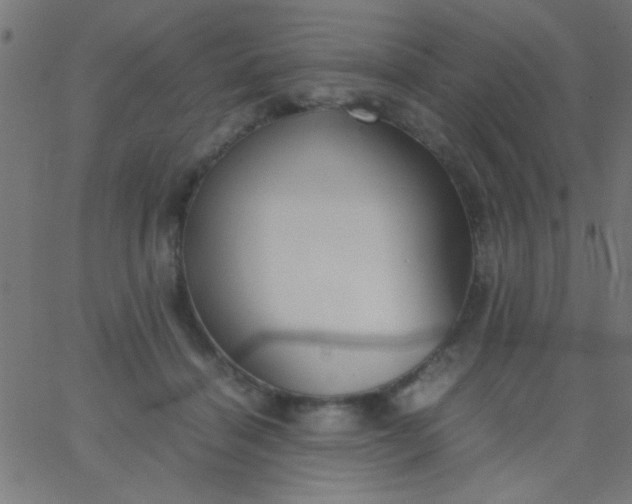 X0000067930460200604272013
