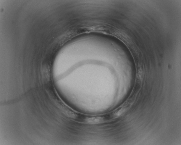 X0000067930461200604272013