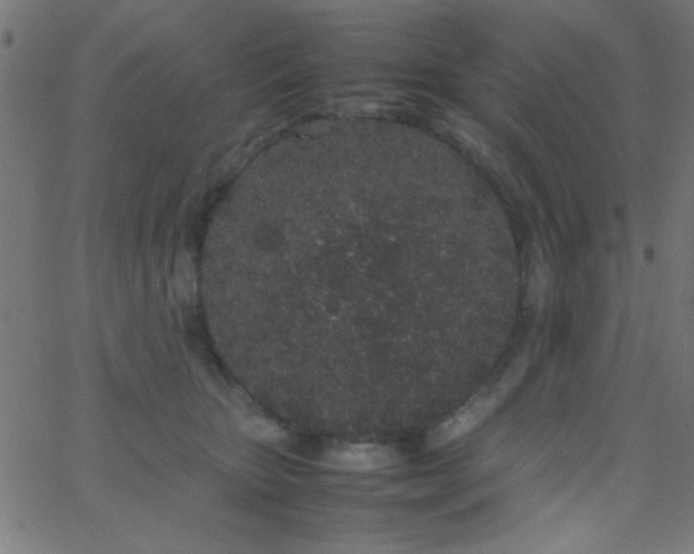 X0000067930467200604272013
