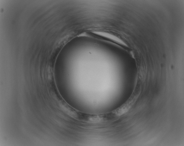 X0000067930470200604272013