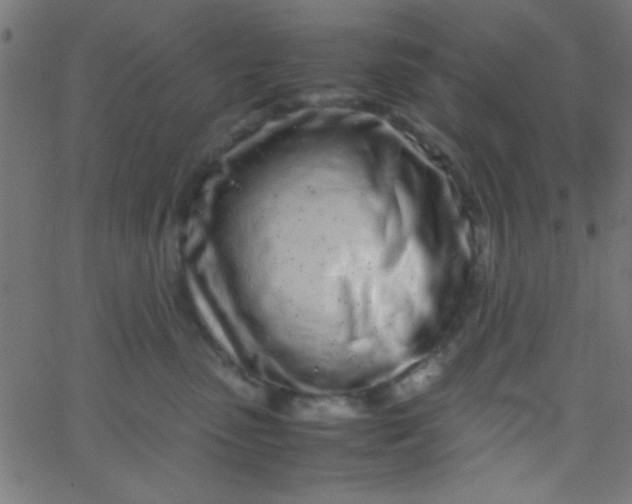 X0000067930475200604272013