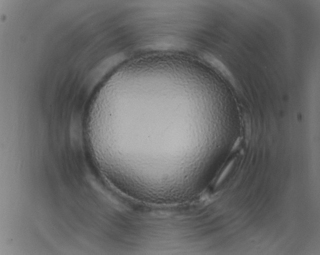 X0000067930482200604272012