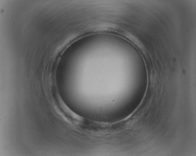 X0000067930485200604272012