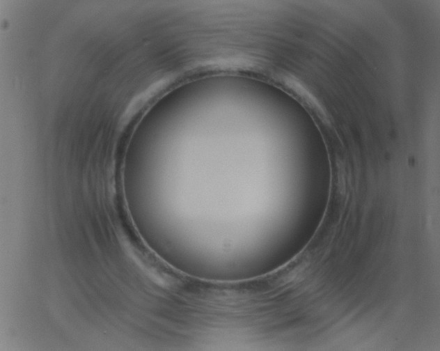 X0000067930486200604272012