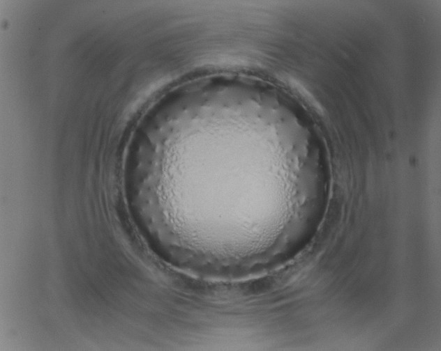 X0000067930487200604272012