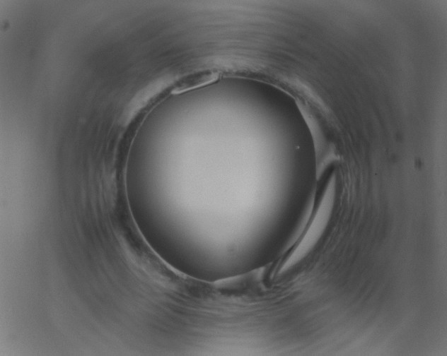 X0000067930488200604272012