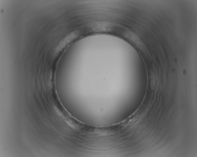 X0000067930490200604272012