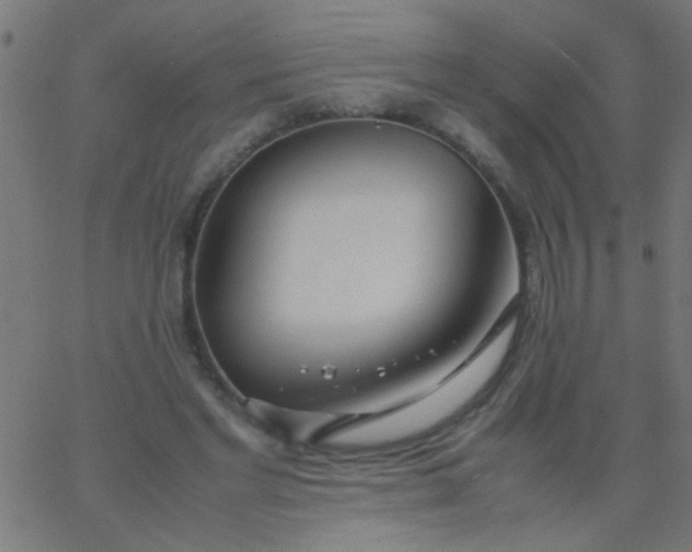 X0000067930493200604272012