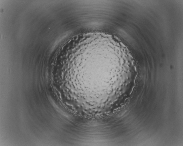 X0000067930494200604272012