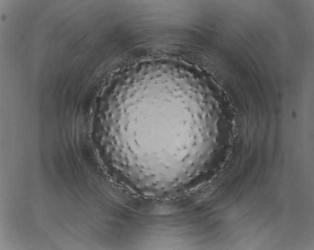X0000067930506200604272012