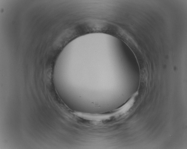 X0000067930509200604272012