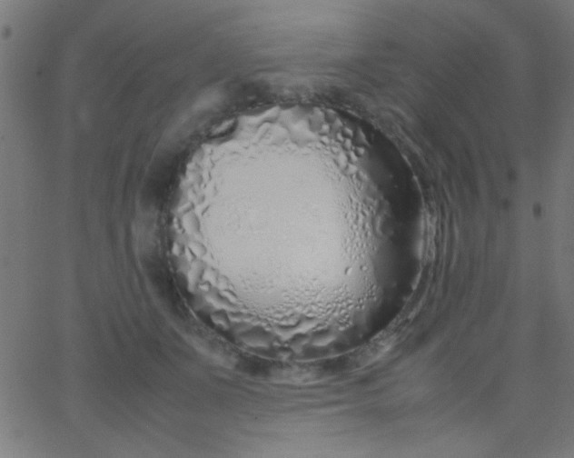 X0000067930511200604272012