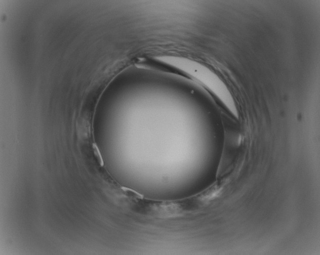 X0000067930517200604272012