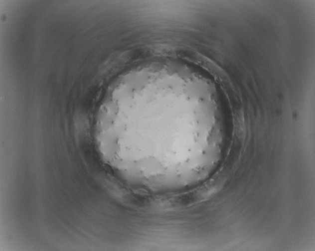 X0000067930523200604272012