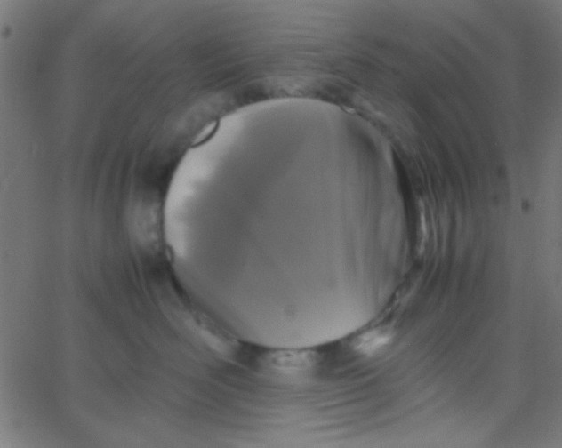 X0000067930526200604272012
