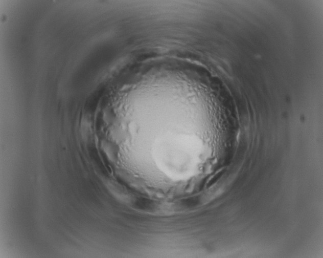 X0000067930527200604272012