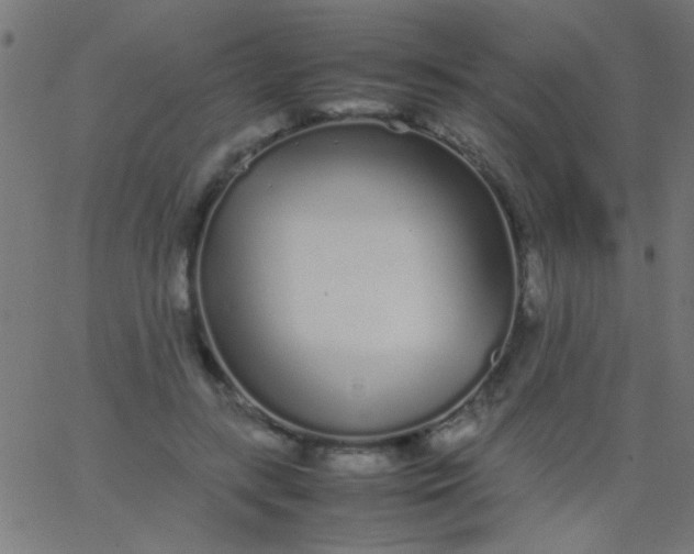 X0000067930547200604272011