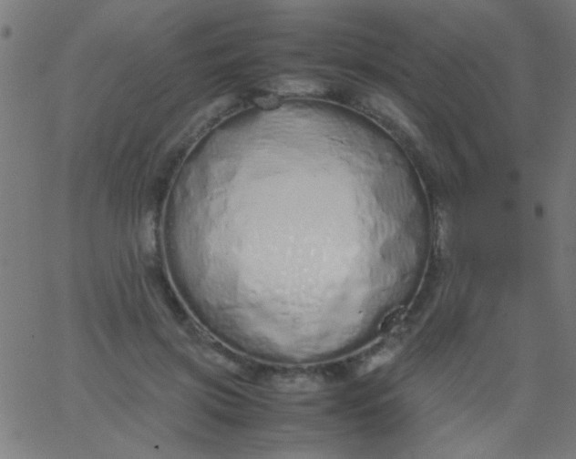 X0000067930549200604272011