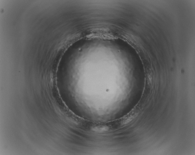 X0000067930551200604272011