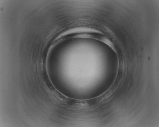 X0000067930552200604272011