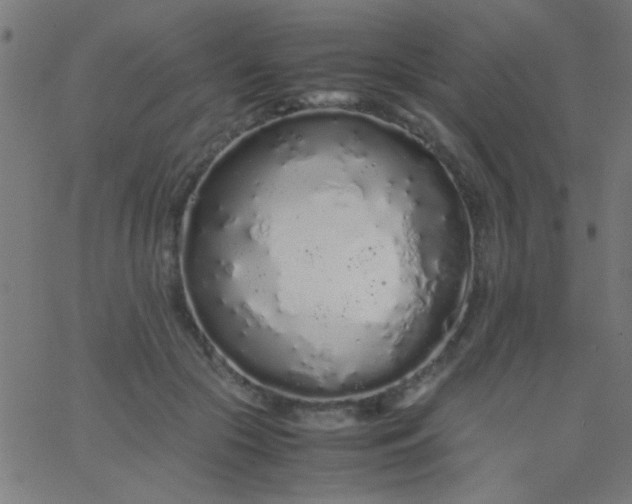 X0000067930553200604272011