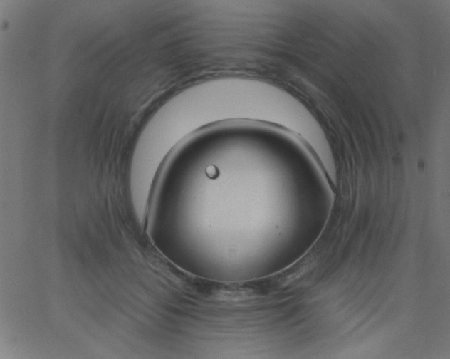 X0000067930556200604272011