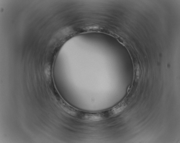 X0000067930559200604272011