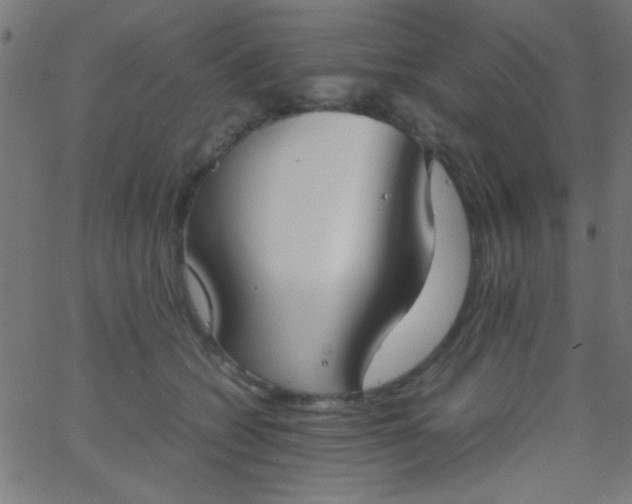 X0000067930562200604272011