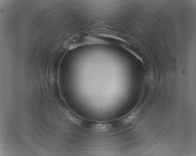 X0000067930566200604272012